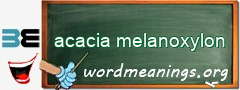 WordMeaning blackboard for acacia melanoxylon